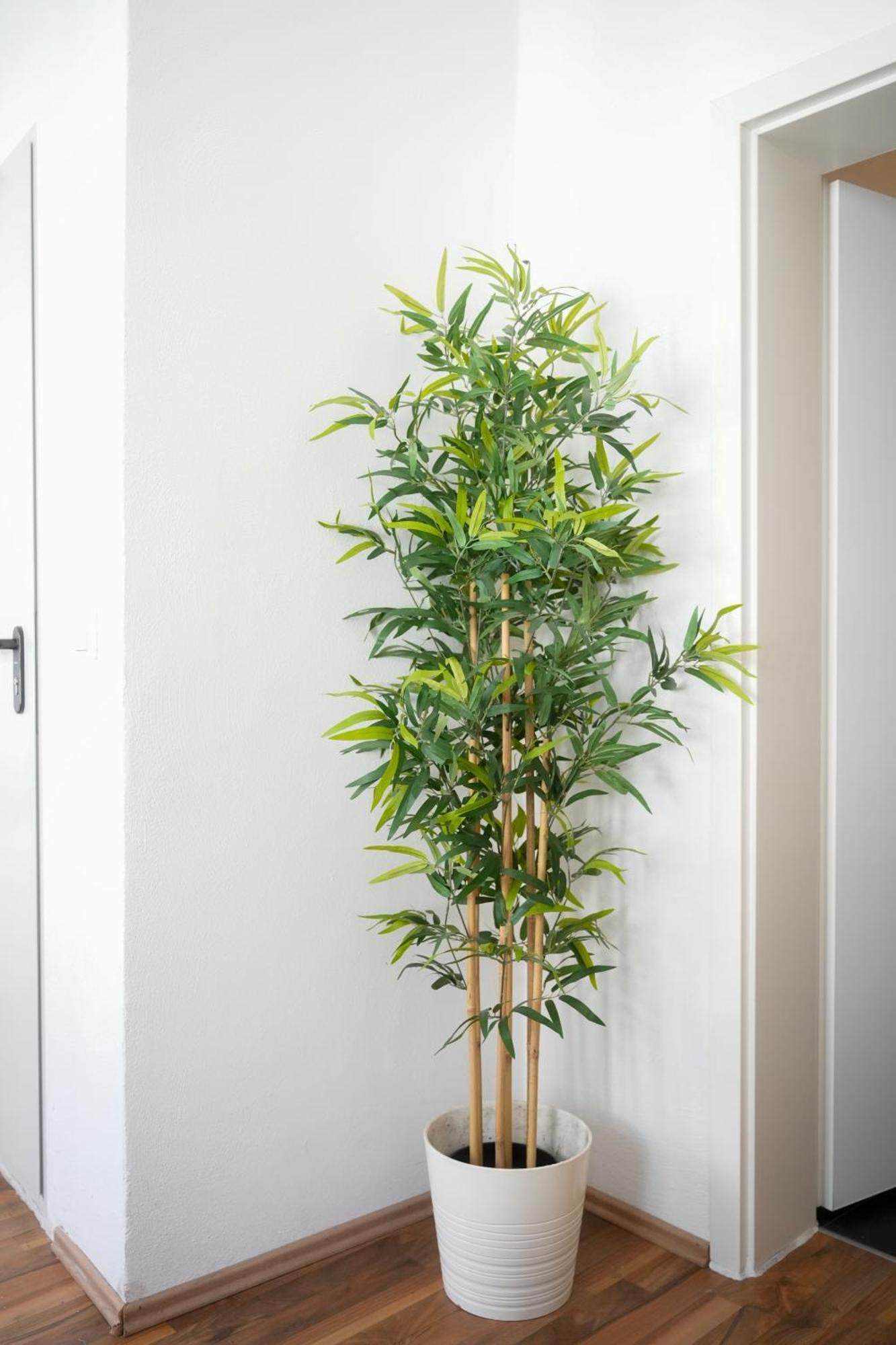 Ferienwohnung Altstadt Koblenz โคเบลนซ์ ภายนอก รูปภาพ